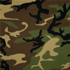 Woodland Camouflage