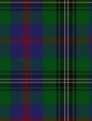 El tejido de la falda escocesa de tartán Clan Wood.