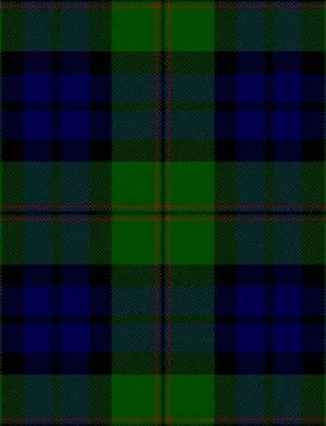 Der Stoff von Dundas Modern Tartan Kilt.